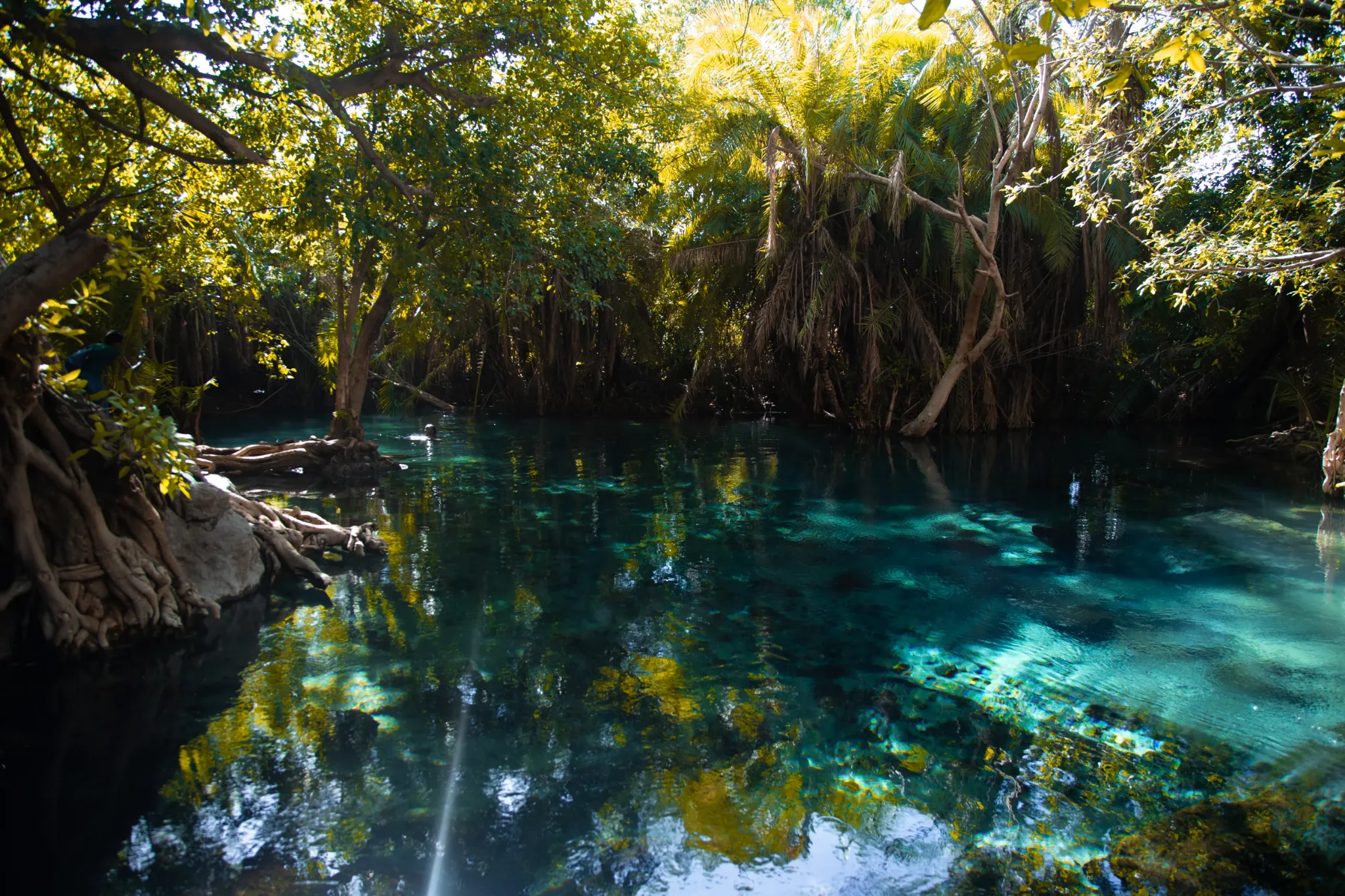 Kikuletwa Hot Springs