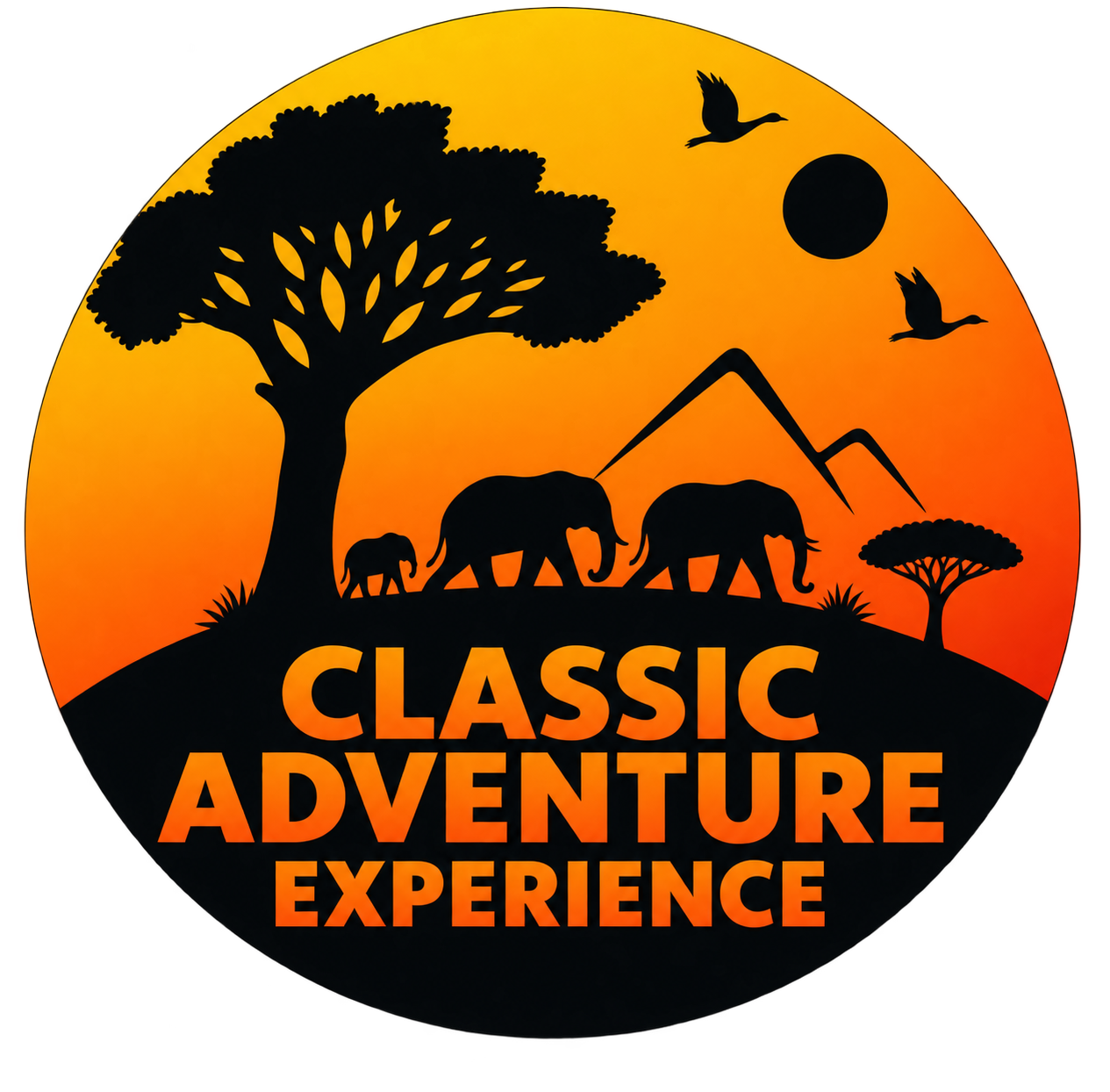 Classic Adventure Experience