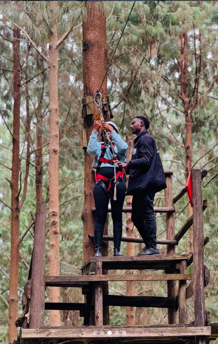 Forest adventure