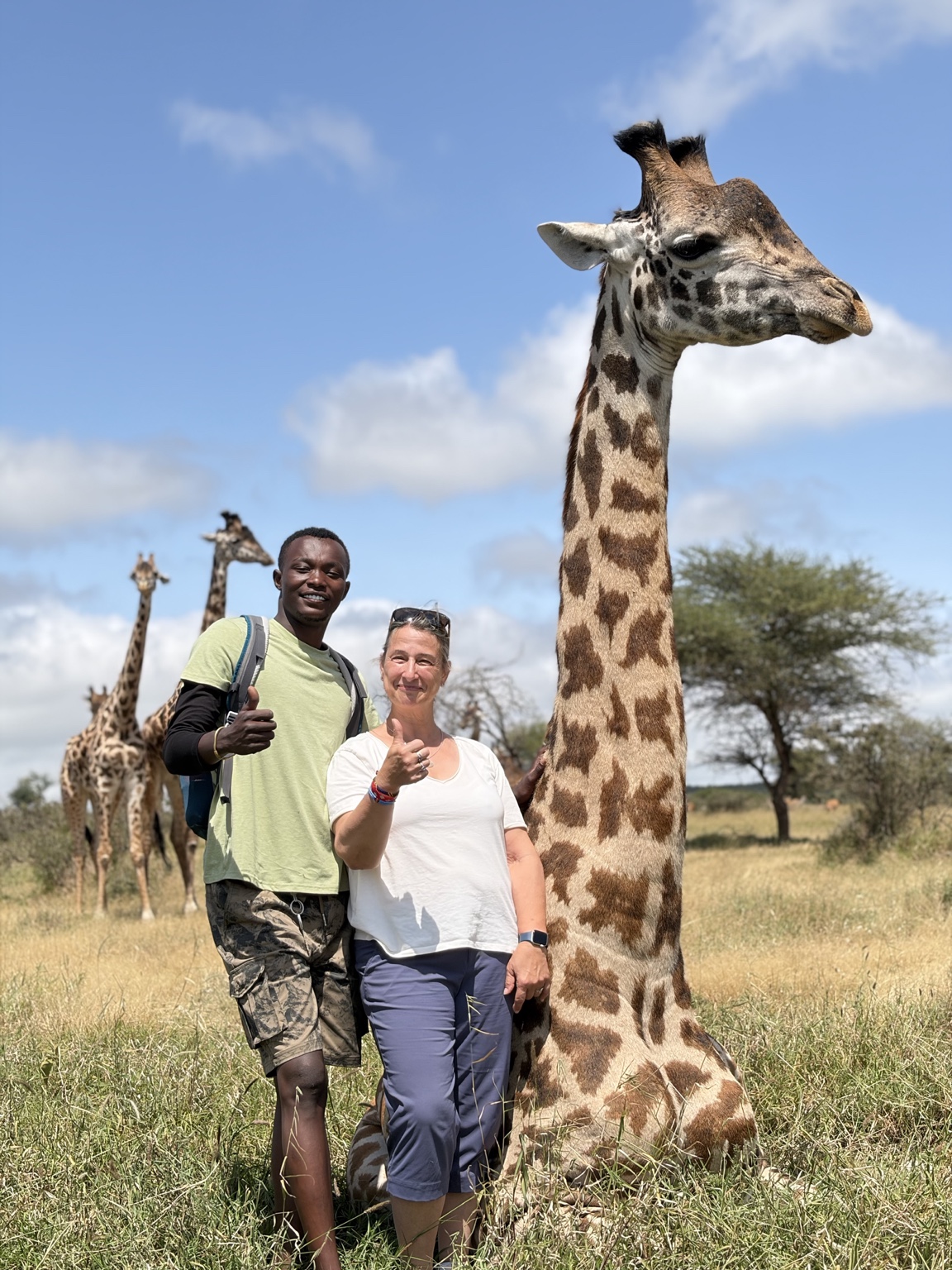 Wildlife Tours & Safari Experiences