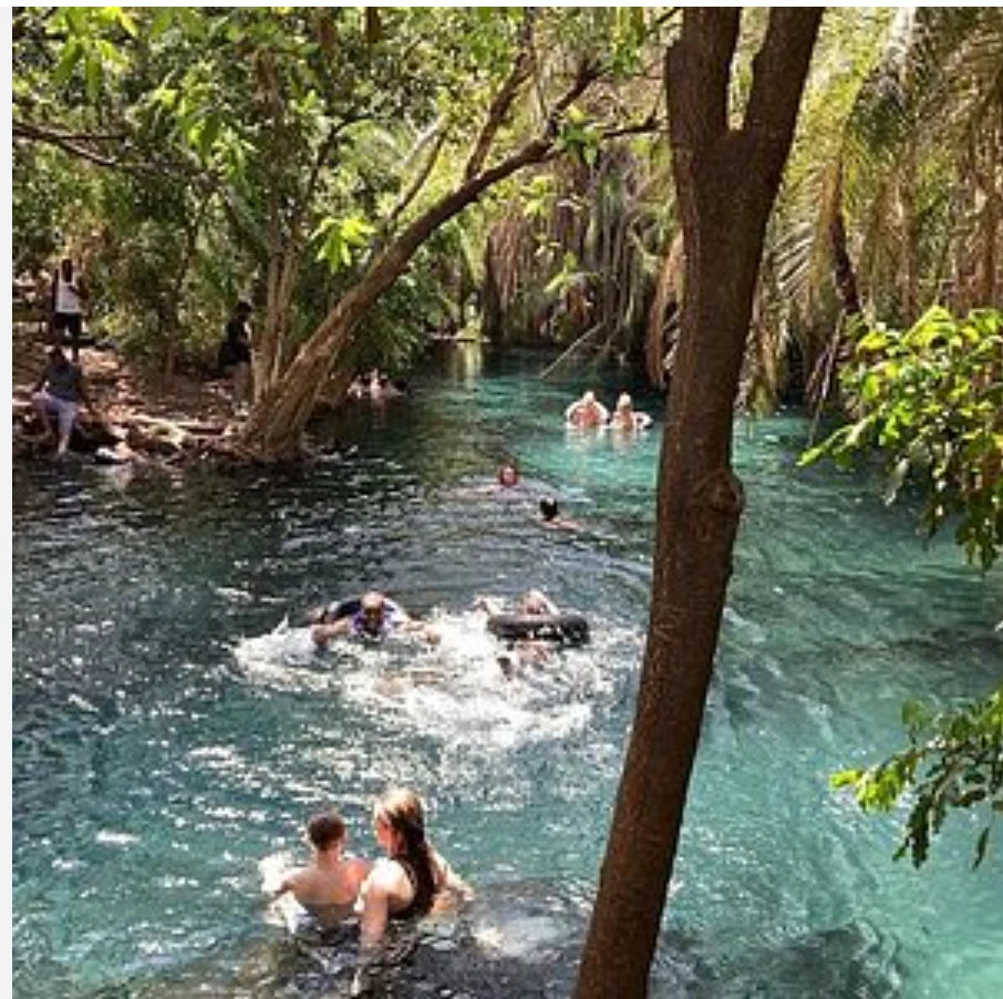 Kikuletwa Hot Springs